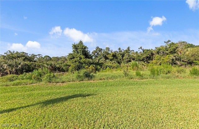 6992 Chapel Creek Ln, North Fort Myers, FL 33917 - photo 41