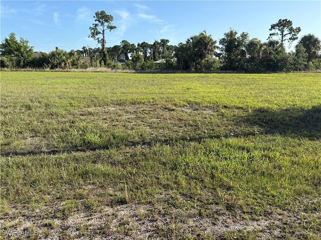 1017 NE 32nd Ter, Cape Coral, FL 33909