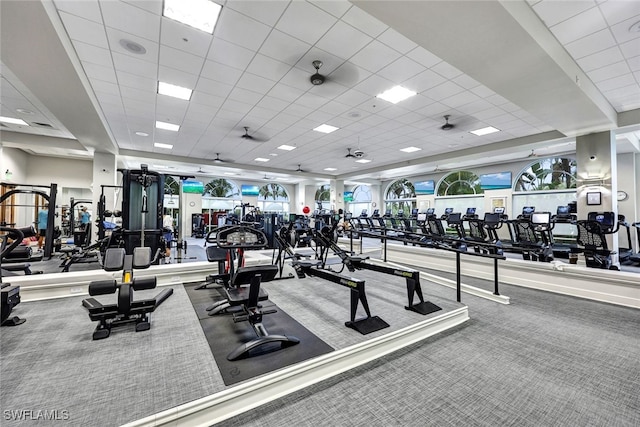 9053 Cascada Way Unit 202, Naples, FL 34114 - exercise room with carpet flooring and a paneled ceiling