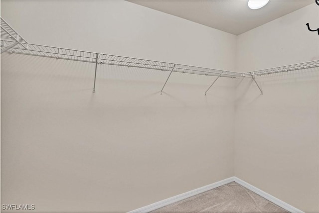 2738 Via Piazza Loop, Fort Myers, FL 33905 - walk in closet with light colored carpet