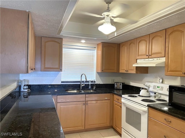 834 SE 46th St Unit 2A, Cape Coral, FL 33904 - kitchen with under cabinet range hood, electric stove, a raised ceiling, dark stone counters, and black microwave