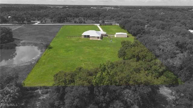 19801 N River Rd, Alva, FL 33920 - aerial view of a heavily wooded area