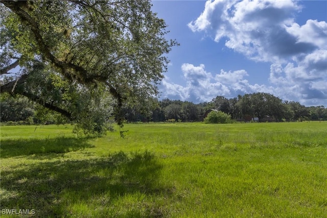 19801 N River Rd, Alva, FL 33920 - view of local wilderness with rural landscape