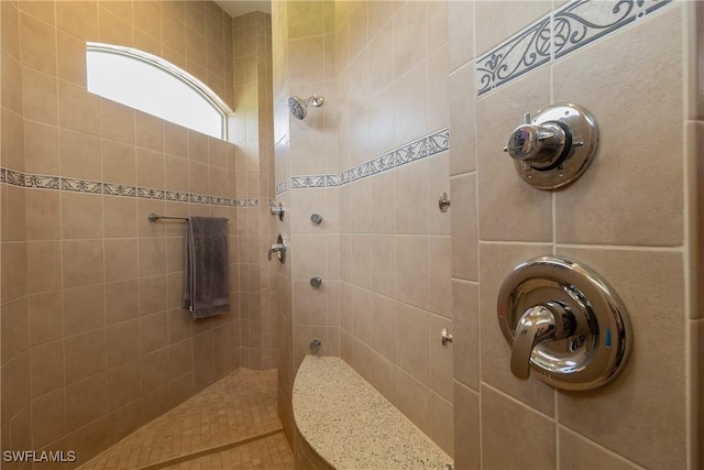 19801 N River Rd, Alva, FL 33920 - full bathroom with tiled shower
