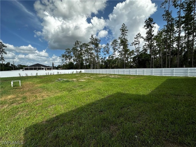 904 James Ave, Lehigh Acres, FL 33936 - view of yard
