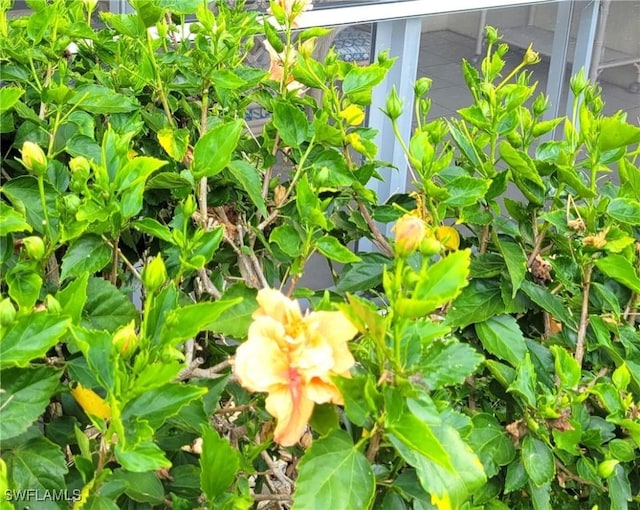 401 Charlemagne Blvd Unit C112, Naples, FL 34112 - photo 4