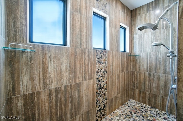1912 Jung Blvd E, Naples, FL 34120 - full bath featuring a tile shower