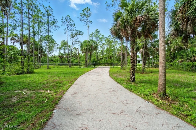 1912 Jung Blvd E, Naples, FL 34120 - view of home's community featuring driveway and a yard