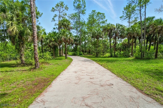 1912 Jung Blvd E, Naples, FL 34120 - view of community with asphalt driveway and a yard