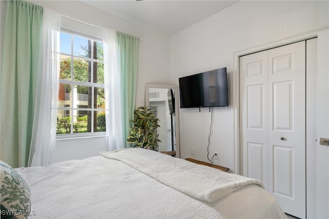 3948 Pomodoro Cir Unit 102, Cape Coral, FL 33909 - bedroom featuring multiple windows and a closet