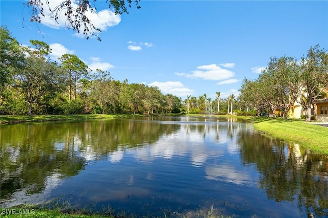 3948 Pomodoro Cir Unit 102, Cape Coral, FL 33909 - water view