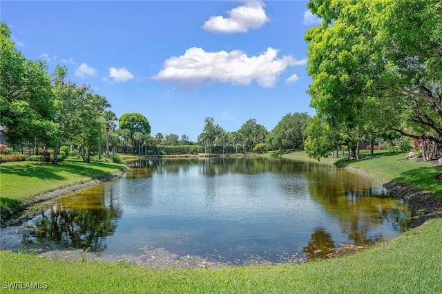 8556 Pepper Tree Way, Naples, FL 34114 - water view