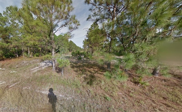 1049 Ainsworth St E, Lehigh Acres, FL 33974