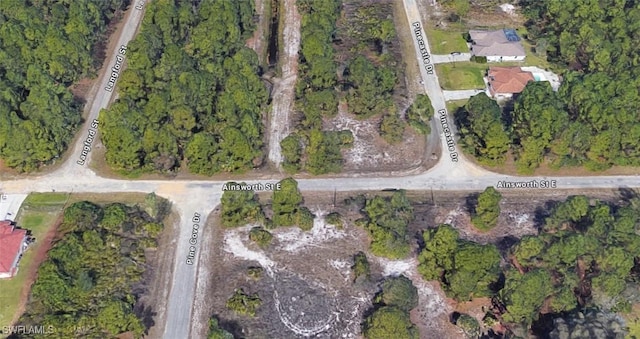 1049 Ainsworth St E, Lehigh Acres, FL 33974