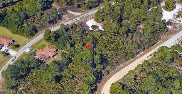636 Locust Ave S, Lehigh Acres, FL 33974