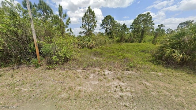 709 Bahama Ave S, Lehigh Acres, FL 33974 - photo 1