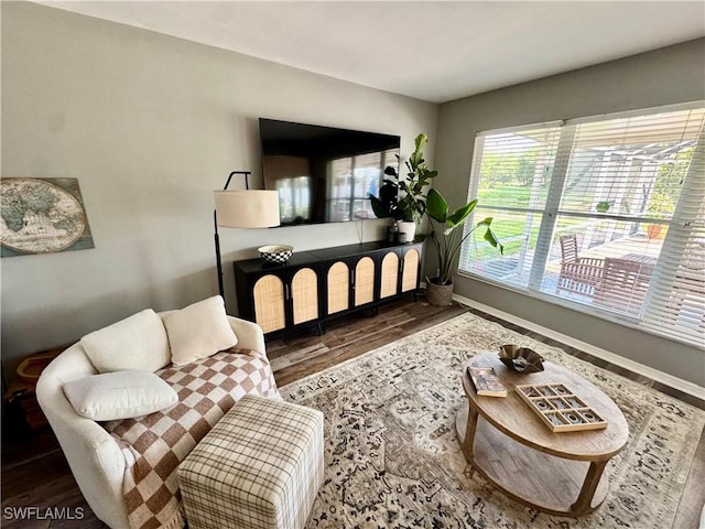 13356 Bristol Park Way, Fort Myers, FL 33913 - living room featuring wood finished floors