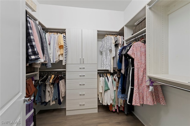 20368 Estero Crossing Blvd, Estero, FL 33928 - spacious closet featuring wood finished floors