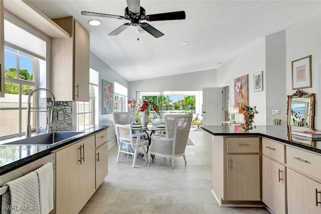 3128 Andorra Ct, Naples, FL 34109 - kitchen featuring dishwashing machine, lofted ceiling, ceiling fan, a textured ceiling, and light brown cabinets