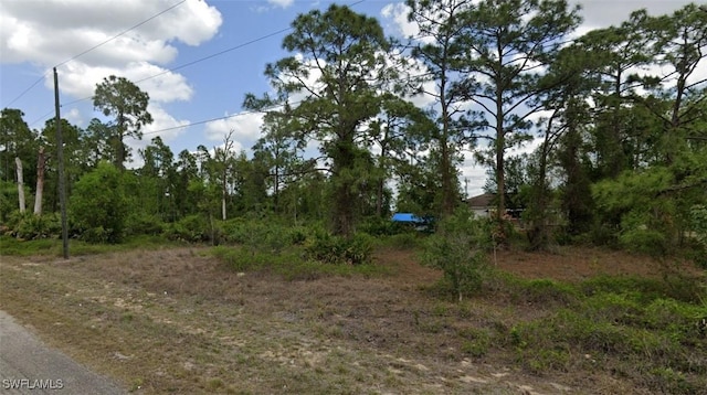 729 Delridge Ave S, Lehigh Acres, FL 33974