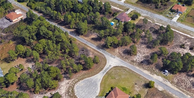 729 Delridge Ave S, Lehigh Acres, FL 33974