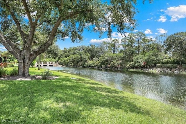 6632 Glen Arbor Way, Naples, FL 34119 - water view