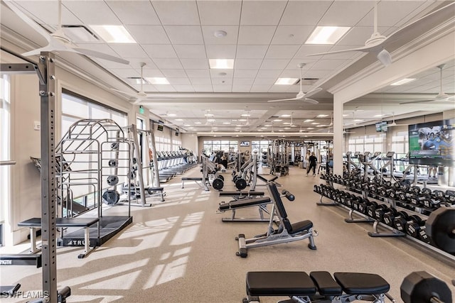 6632 Glen Arbor Way, Naples, FL 34119 - workout area featuring a paneled ceiling