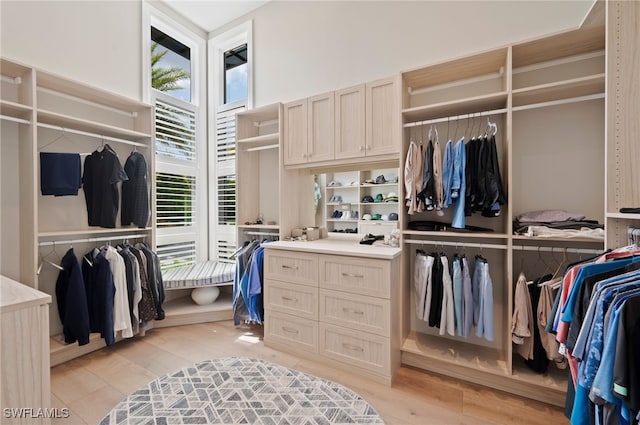 4297 Deephaven Ln, Naples, FL 34119 - walk in closet with light wood-style floors