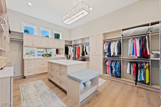 4297 Deephaven Ln, Naples, FL 34119 - spacious closet with light wood-type flooring