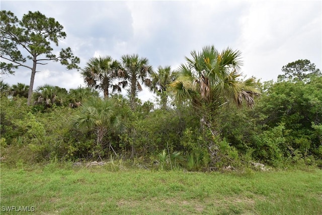 36th Ave SE, Naples, FL 34117