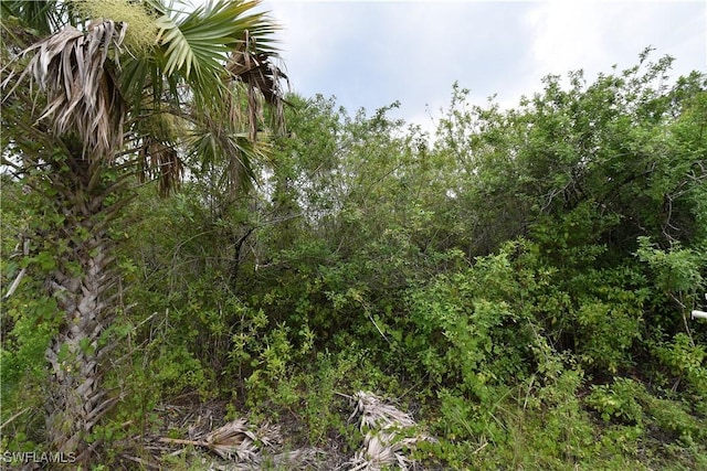 36th Ave SE, Naples, FL 34117