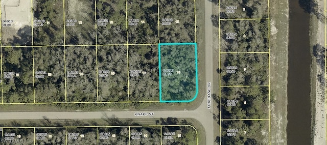 673 Knapp St, Lehigh Acres, FL 33974