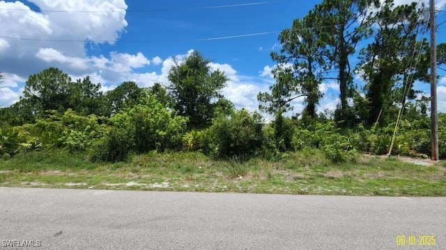 1133 Barfield St E, Lehigh Acres, FL 33974