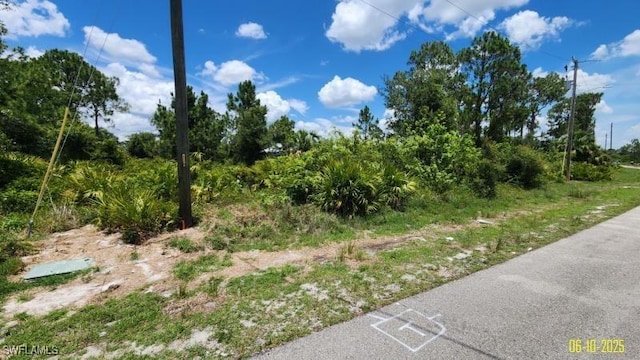 1133 Barfield St E, Lehigh Acres, FL 33974