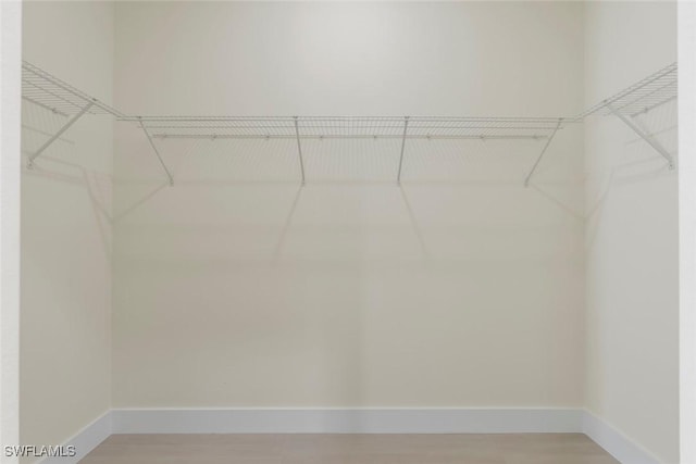 3115 41st St SW, Lehigh Acres, FL 33976 - spacious closet with light wood-style flooring