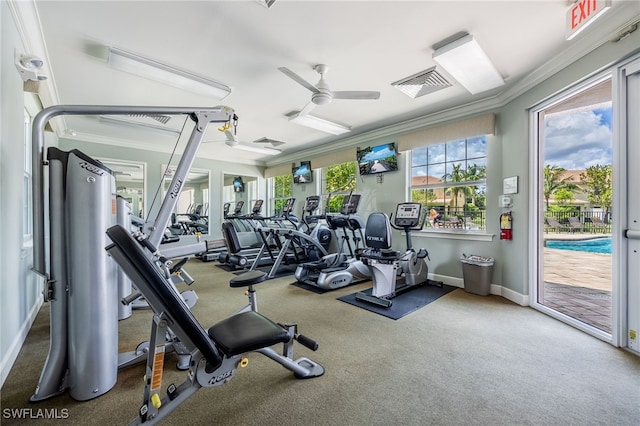 10805 Alvara Way, Bonita Springs, FL 34135 - photo 50