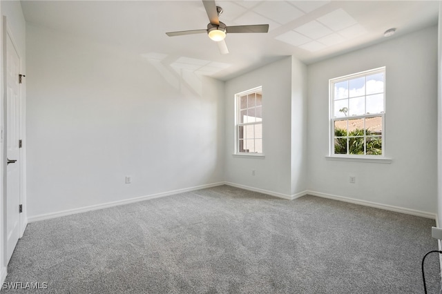 10805 Alvara Way, Bonita Springs, FL 34135 - photo 23