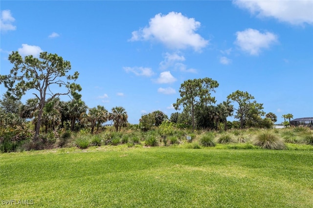 16324 Preservation Blvd, Punta Gorda, FL 33982 - photo 42