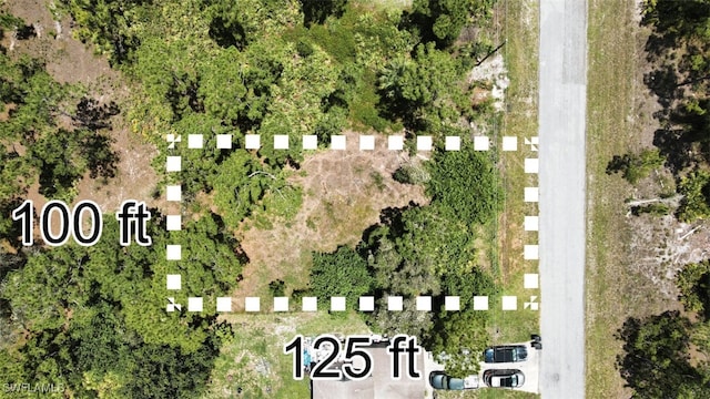 729/731 Bedford Dr, Lehigh Acres, FL 33974 - photo 8