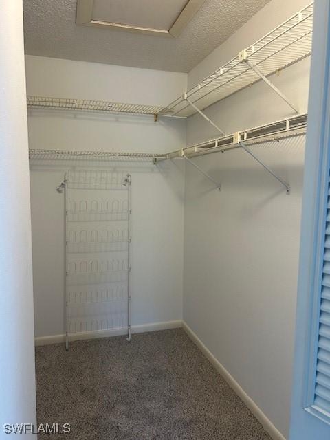9950 Sailview Ct Unit 12, Fort Myers, FL 33905 - walk in closet featuring carpet floors and attic access