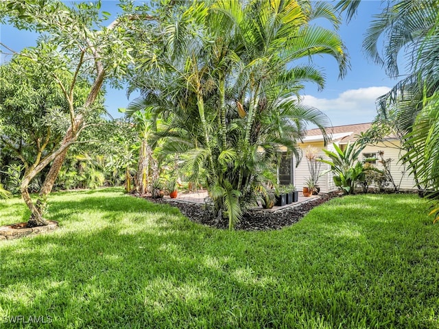 11810 Imperial Pines Way, Bonita Springs, FL 34135 - view of green lawn
