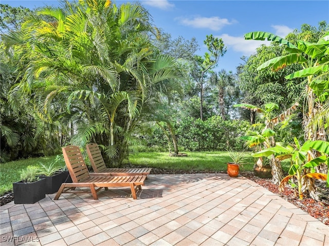 11810 Imperial Pines Way, Bonita Springs, FL 34135 - view of patio