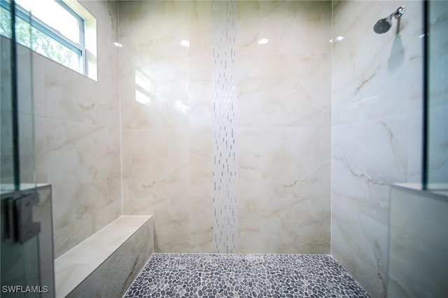 2817 43rd St W, Lehigh Acres, FL 33971 - bathroom with tiled shower