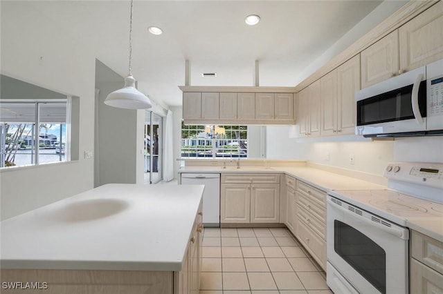 1895 Woodbine Ct, Marco Island, FL 34145 - photo 9