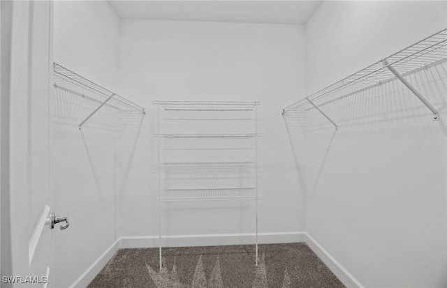 604 Oasis Lake Pl, Lehigh Acres, FL 33936 - walk in closet with carpet flooring