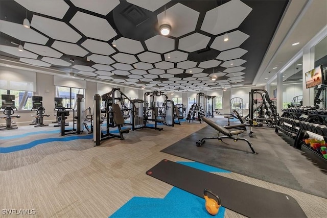 28646 Lobos Cir, Bonita Springs, FL 34135 - workout area featuring carpet flooring and plenty of natural light