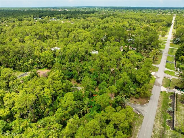 3500 19th Ave SW, Naples, FL 34117 - photo 8