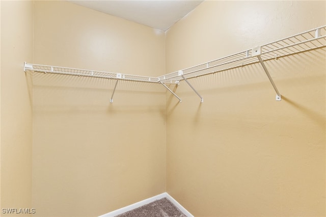 3734 SW 8th Ct Unit 103, Cape Coral, FL 33914 - photo 22
