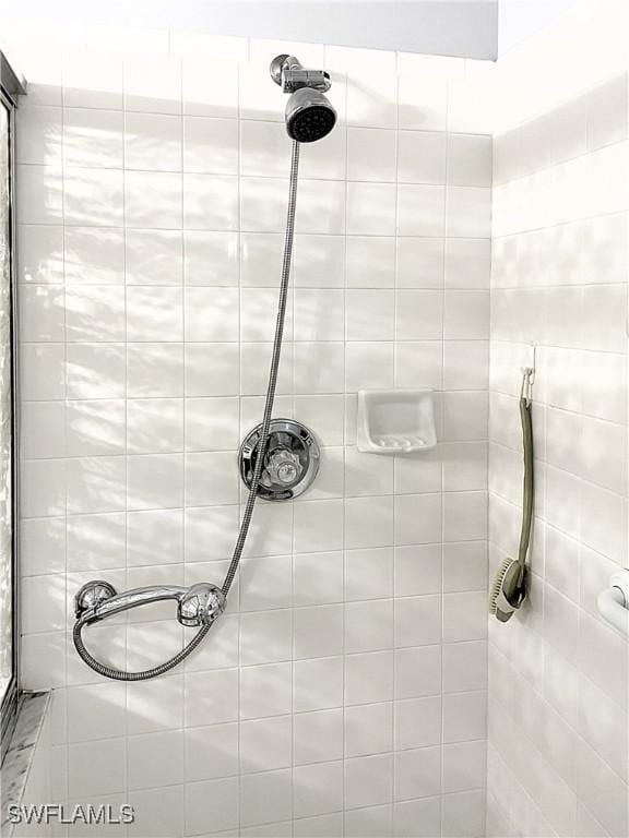 3620 Stone Way, Estero, FL 33928 - bathroom view of a tile shower