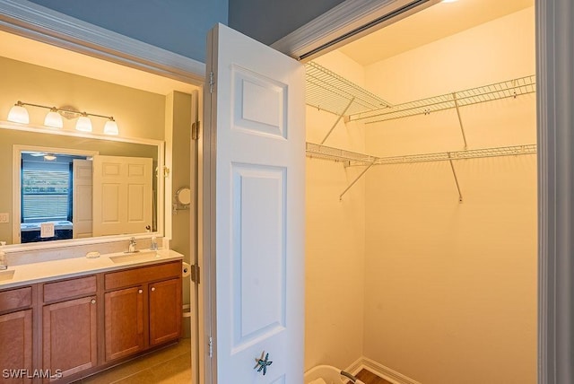 20050 Fiddlewood Ave, North Fort Myers, FL 33917 - ensuite bathroom with double vanity and a walk in closet